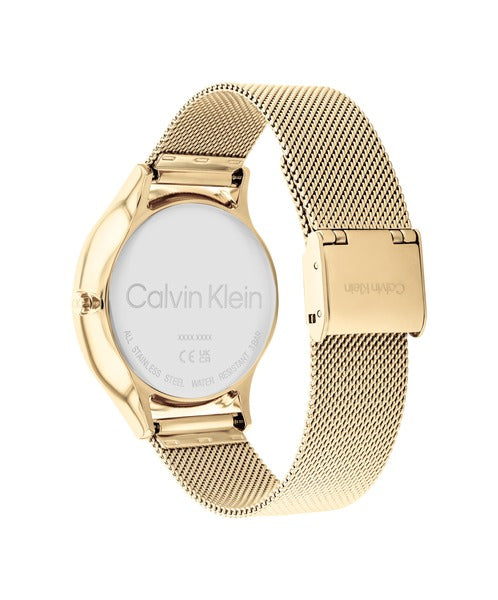Calvin Klein Timeless Multifunction CK25200103 klockans baksida är silverfärgad.