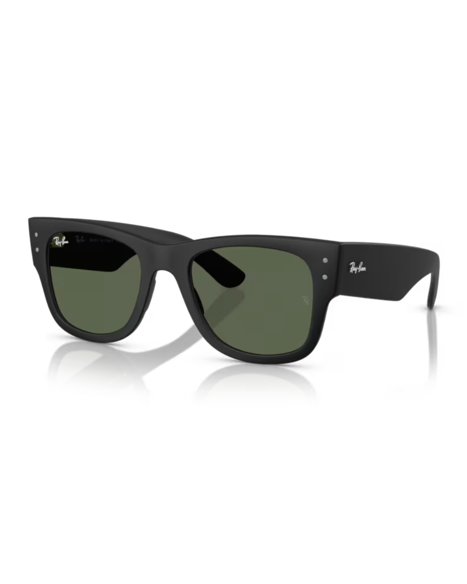Ray-Ban Mega Wayfarer Liteforce RB4840S 601S/71 solglasögon
