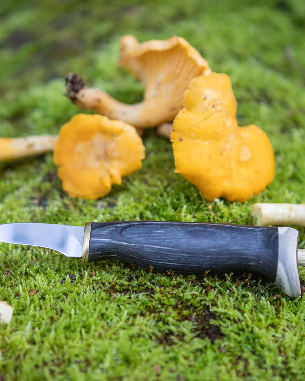 Arctic Legend Mushroom Knife
svampkniv med svart handtag i björk, sieniveitsi mustalla koivukahvalla