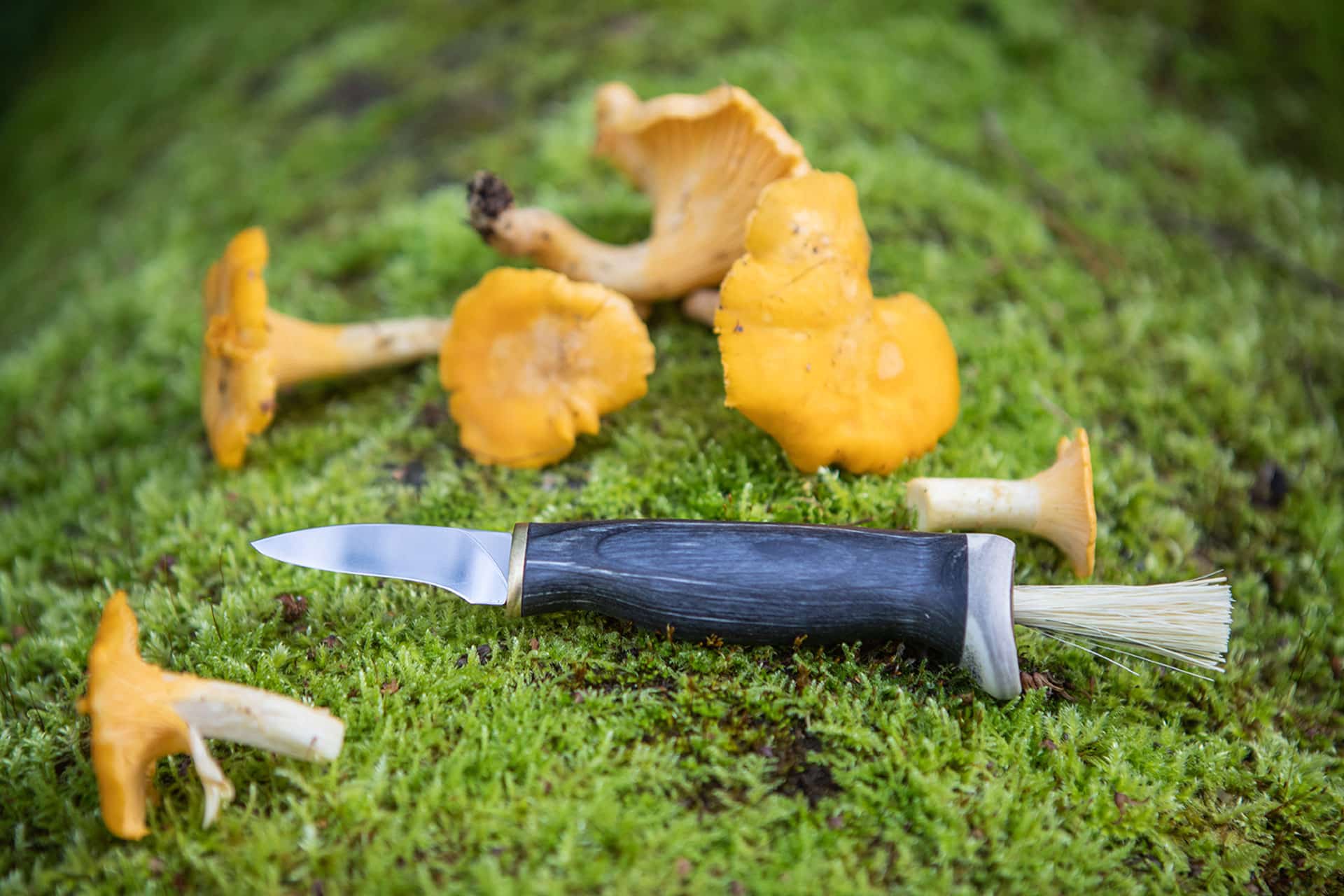 Arctic Legend Mushroom Knife
svampkniv med svart handtag i björk, sieniveitsi mustalla koivukahvalla