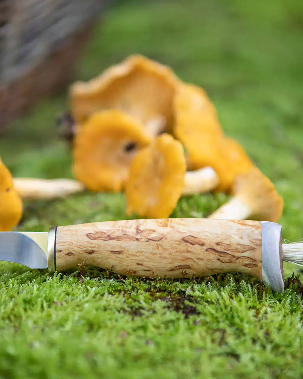 Arctic Legend Mushroom Knife
svampkniv med handtag i masurbjörk, sieniveitsi visakoivukahvalla