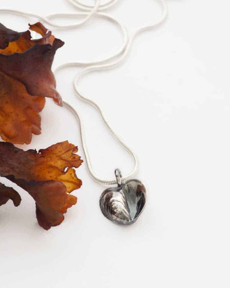 Guldviva Blåmussla hjärta halsband har en tunn silverkedja. Hängets form är som två blåmusslor bredvid varandra som bildar ett hjärta.