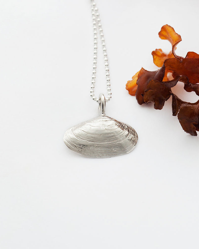 Guldviva Sandmussla halsband har en tunn silverkedja och ett hänge i form av ett sandmussla.