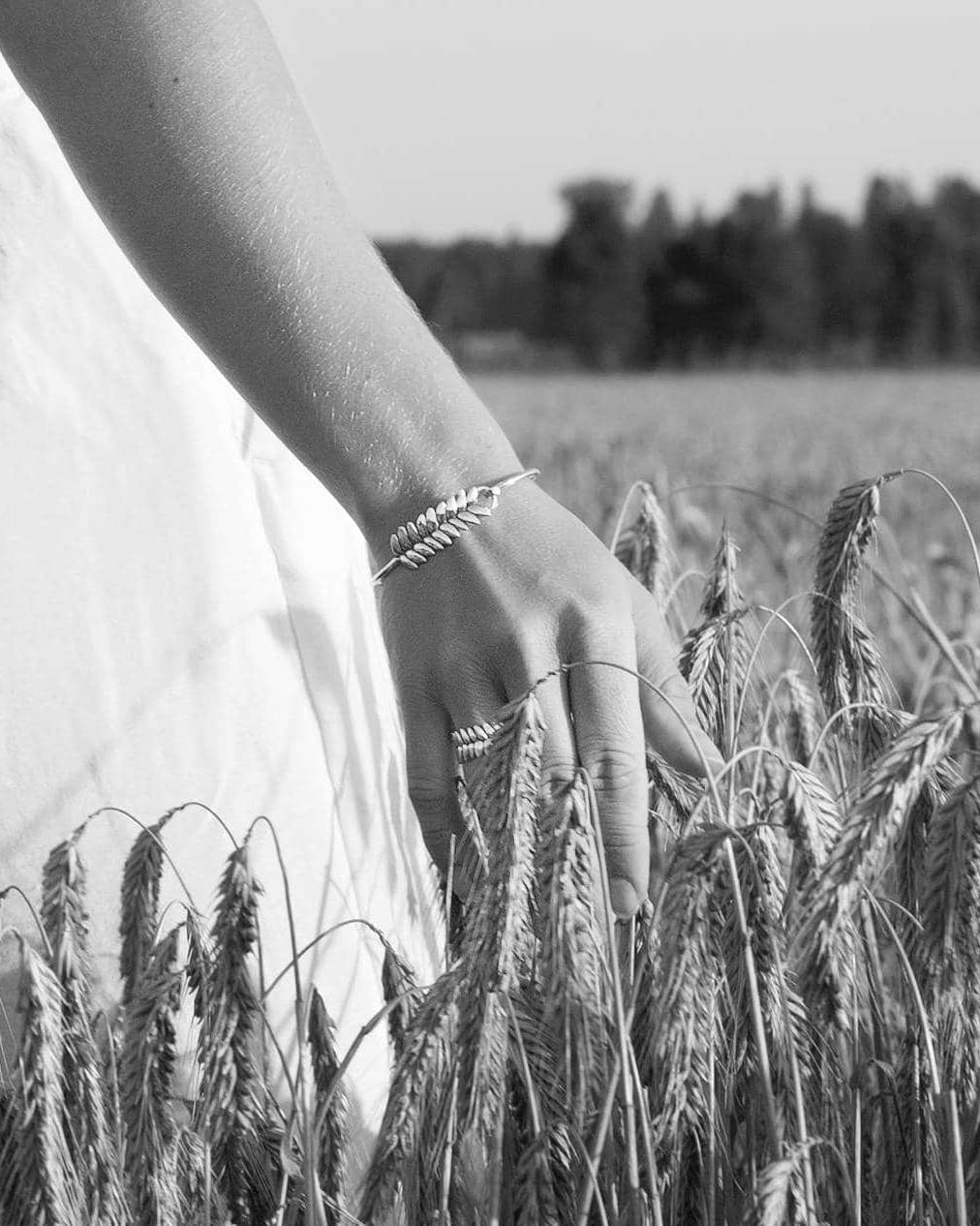 Guldviva Råg armring, rannerengas