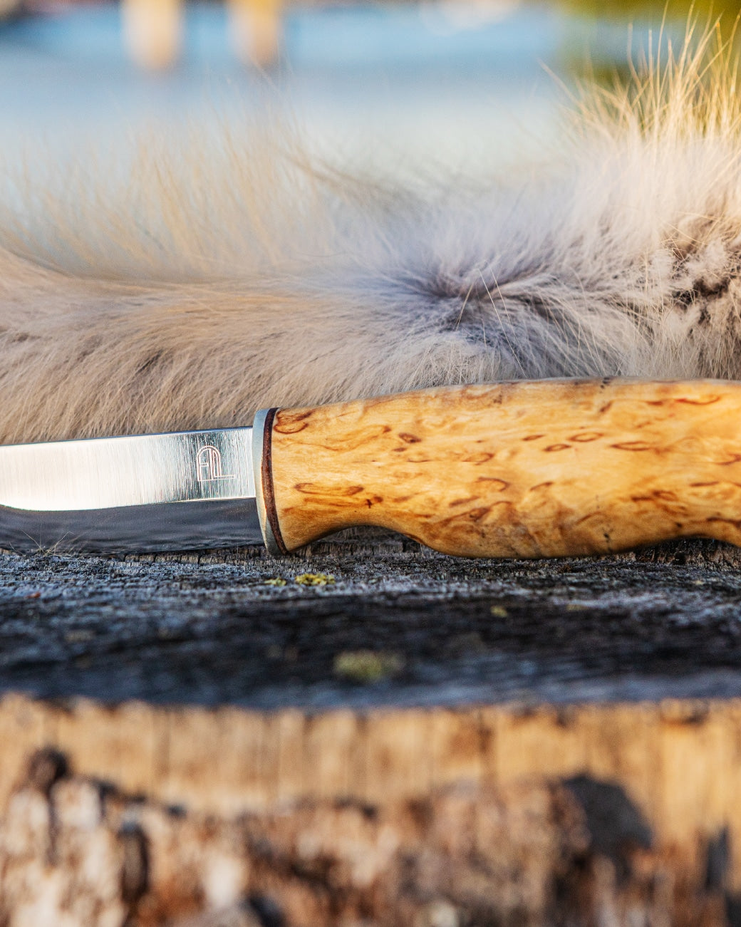 Arctic Legend Hunters Knife
jägare kniv med handtag av masurbjörk
metsästäjän puukko visakoivukahvalla