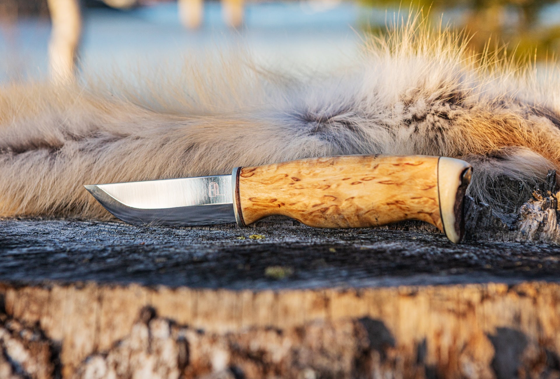 Arctic Legend Hunters Knife
jägare kniv med handtag av masurbjörk
metsästäjän puukko visakoivukahvalla