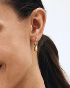 Guldpläterat Edblad Drop Mini Hoops Gold ringörhänge 130605 på modellen