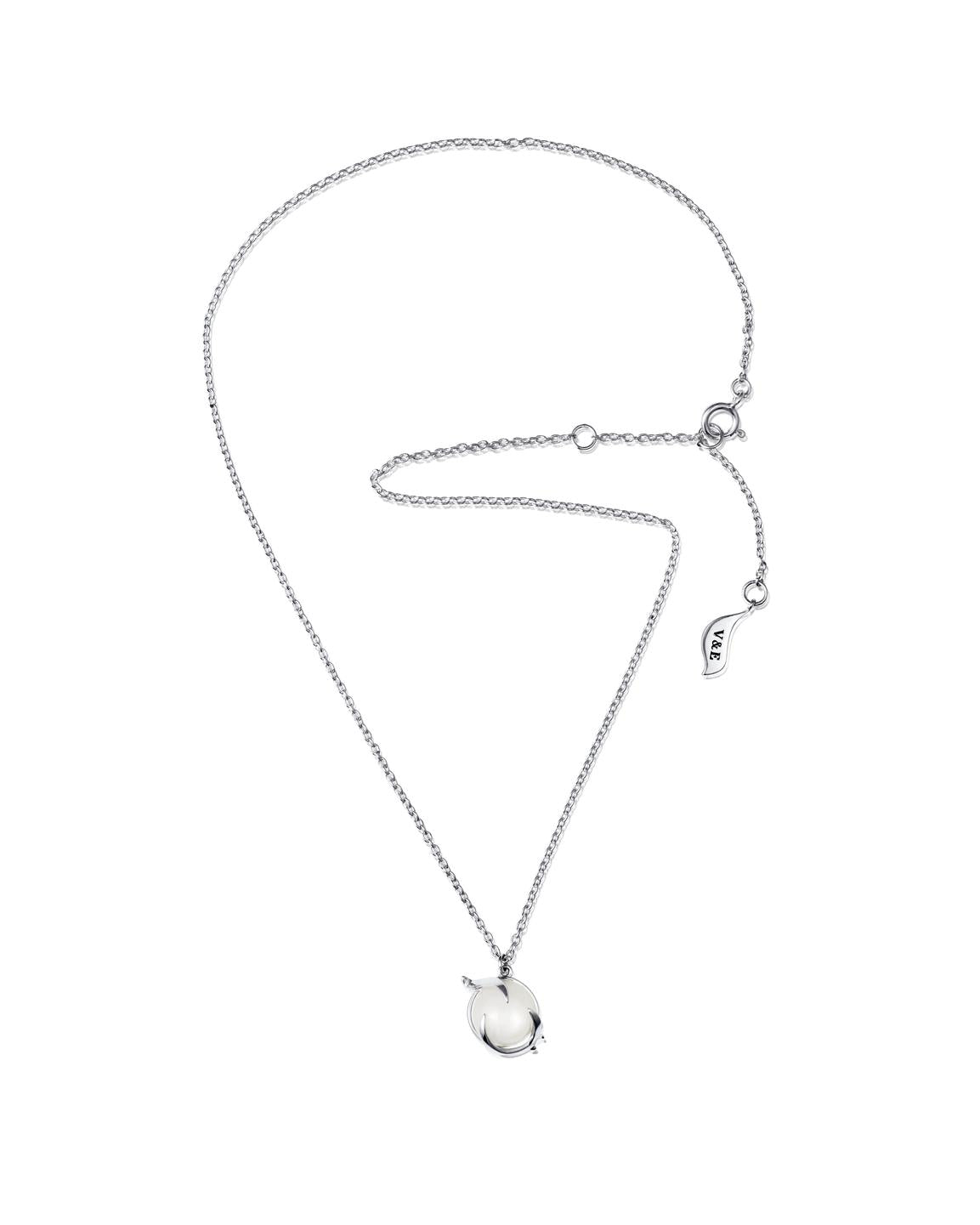 Efva Attling Frö 10-100-02341 halsband har en tunn silverkedja och ett hänge med en vit rund månsten