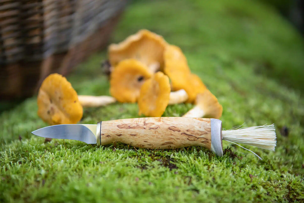 Arctic Legend Mushroom Knife
svampkniv med handtag i masurbjörk, sieniveitsi visakoivukahvalla